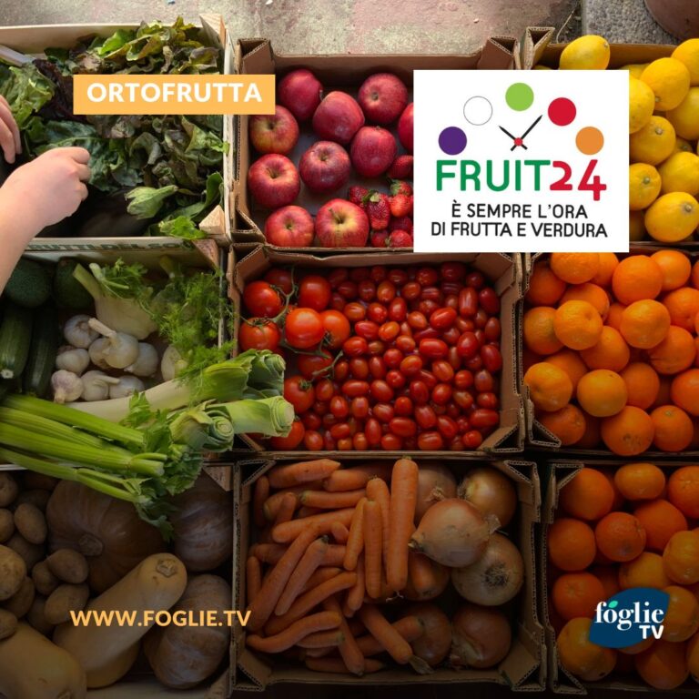 Torna “Fruit24!”, il progetto europeo per promuovere i consumi di ortofrutta