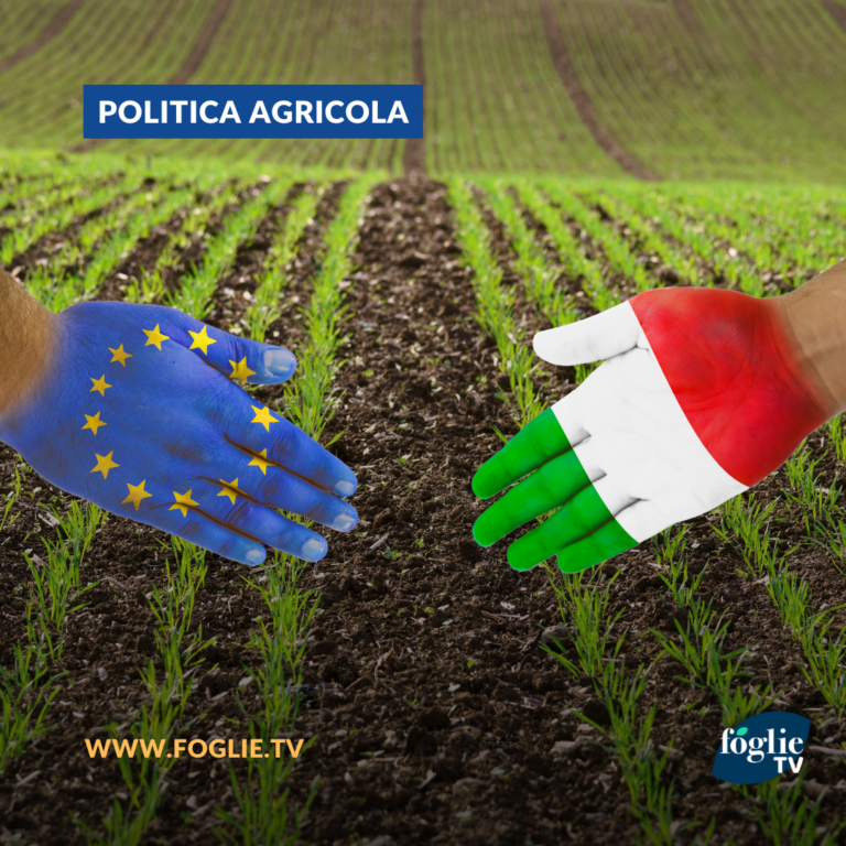 330 Mln ad agricoltura UE di cui 60,5 all’Italia