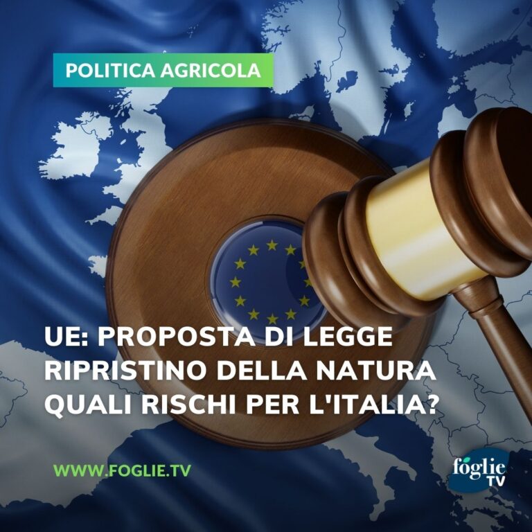 Nuova legge UE sul ripristino della natura: i rischi per l’agricoltura italiana