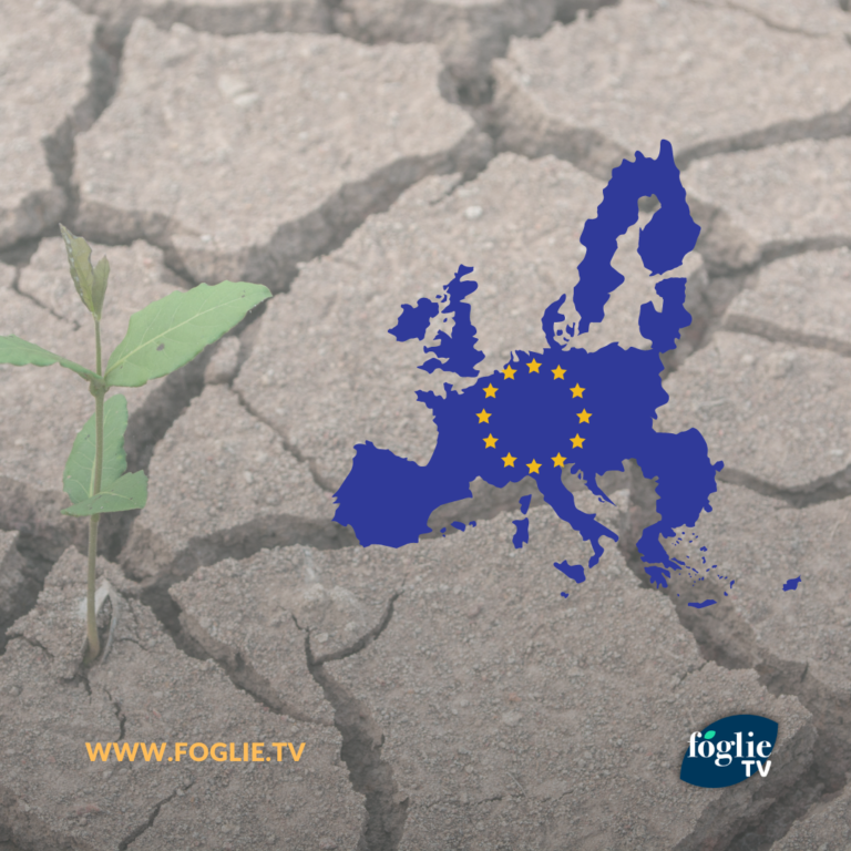 Green Deal senza reciprocità è boomerang per agricoltori e consumatori europei