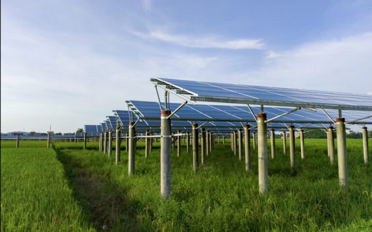 Energia, Martinangelo: tassa extraprofitti penalizza imprese agricole che hanno scelto fotovoltaico