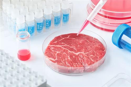 Carne sintetica, scoperto sistema per abbattere i costi di produzione
