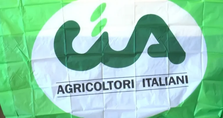 Agricoltura-agenda 2024: da dove riparte la Puglia del comparto primario
