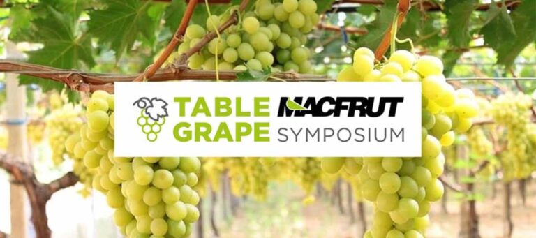 Macfrut Table Grape Symposium, Evento mondiale dedicato alla filiera dell’uva da tavola 