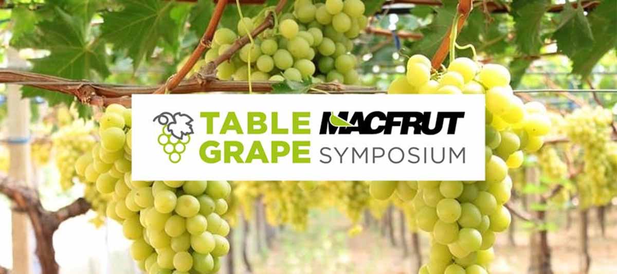Al Macfrut Table Grape Symposium Marcos Felici di Bloom Fresh: “Il mercato dell’uva da tavola crescerà ancora purchè si investa in qualità e nuove varietà”.