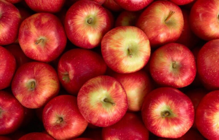 L’Ucraina ha esportato mele fresche in 22 paesi del mondo in un solo mese nonostante il blocco polacco
