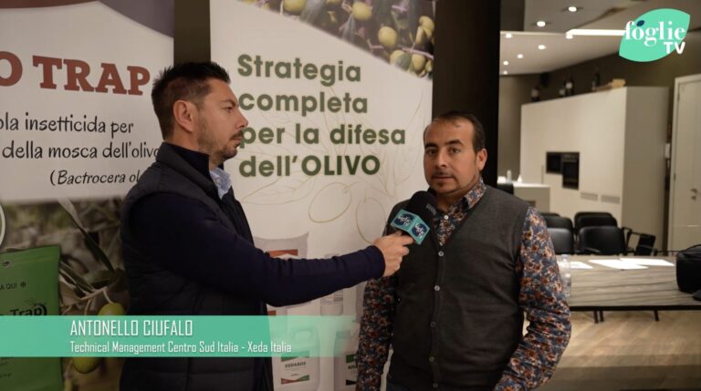 Xeda presenta la strategia completa per la difesa e la biostimolazione sostenibile dell’olivo